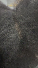 Load and play video in Gallery viewer, Scalp Reset
